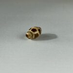 LINE_ALBUM_2026117_260117_133