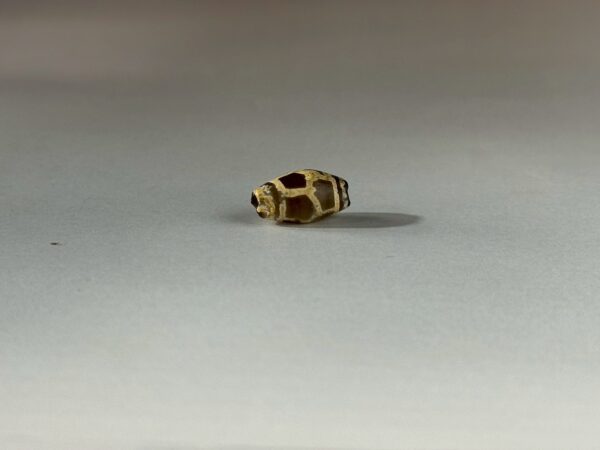 LINE_ALBUM_2026117_260117_134