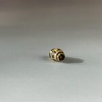 LINE_ALBUM_2026117_260117_135