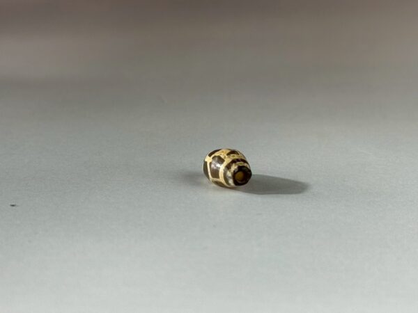 LINE_ALBUM_2026117_260117_135