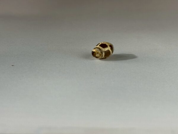 LINE_ALBUM_2026117_260117_136