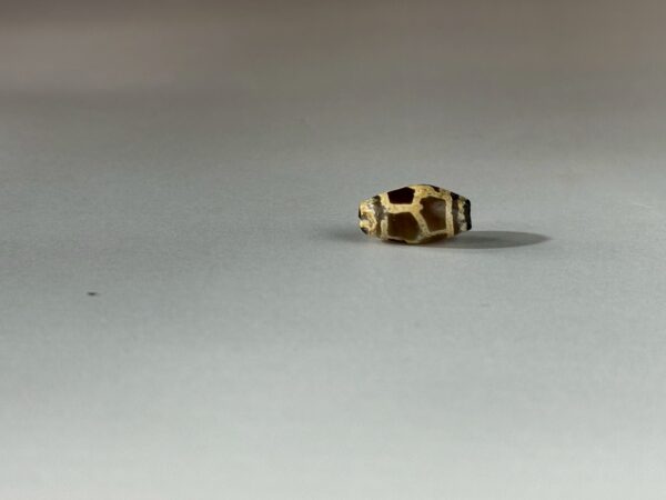 LINE_ALBUM_2026117_260117_137