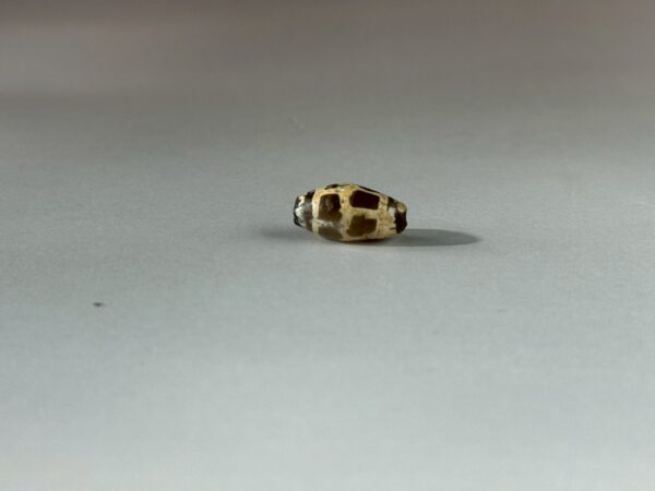 LINE_ALBUM_2026117_260117_138