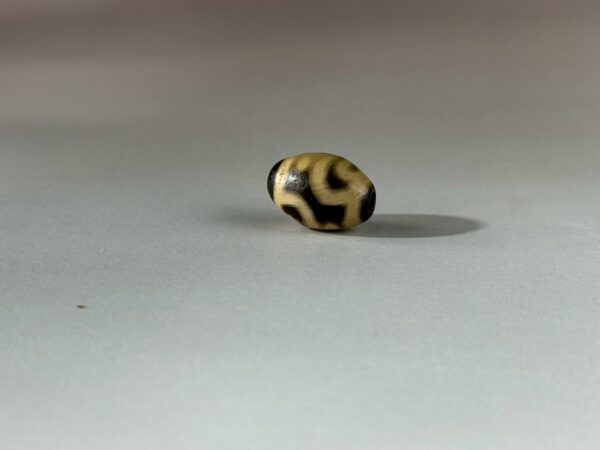 LINE_ALBUM_2026117_260117_140