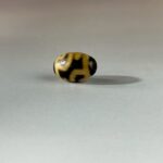 LINE_ALBUM_2026117_260117_141