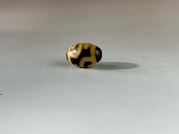 LINE_ALBUM_2026117_260117_141