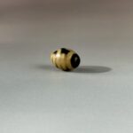 LINE_ALBUM_2026117_260117_142