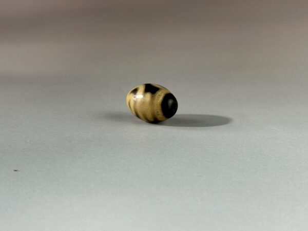 LINE_ALBUM_2026117_260117_142