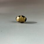 LINE_ALBUM_2026117_260117_143