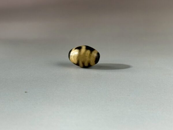 LINE_ALBUM_2026117_260117_143