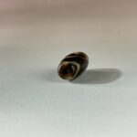 LINE_ALBUM_2026117_260117_144