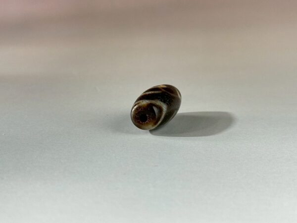 LINE_ALBUM_2026117_260117_144