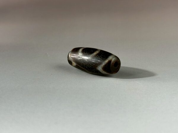 LINE_ALBUM_2026117_260117_146