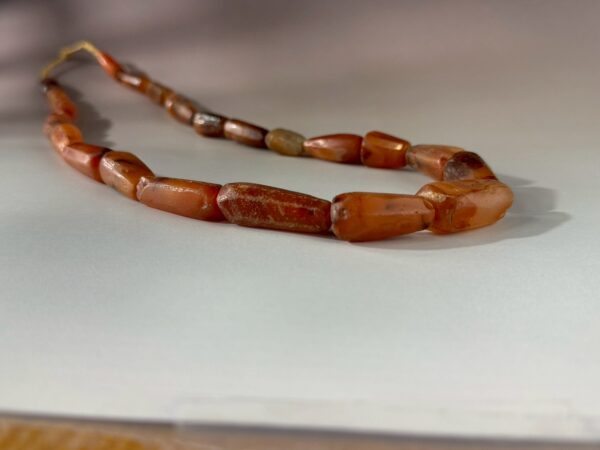 LINE_ALBUM_2026117_260117_150