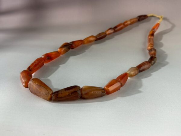 LINE_ALBUM_2026117_260117_152