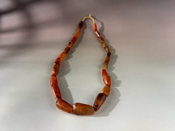 LINE_ALBUM_2026117_260117_153