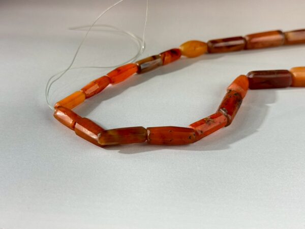 LINE_ALBUM_2026117_260117_154