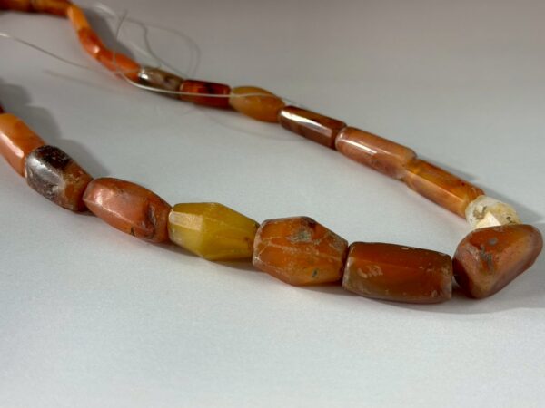 LINE_ALBUM_2026117_260117_156