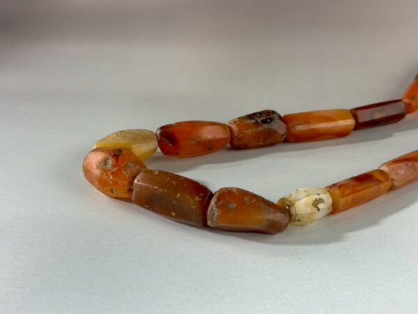 LINE_ALBUM_2026117_260117_157