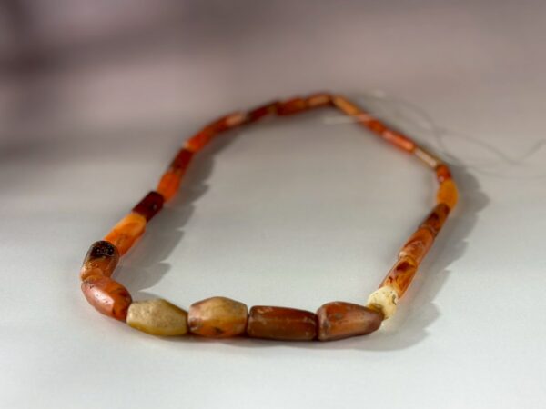 LINE_ALBUM_2026117_260117_158