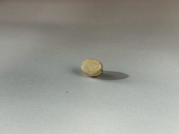 LINE_ALBUM_2026117_260117_159