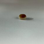 LINE_ALBUM_2026117_260117_160