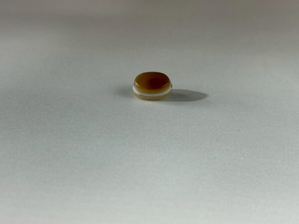 LINE_ALBUM_2026117_260117_160