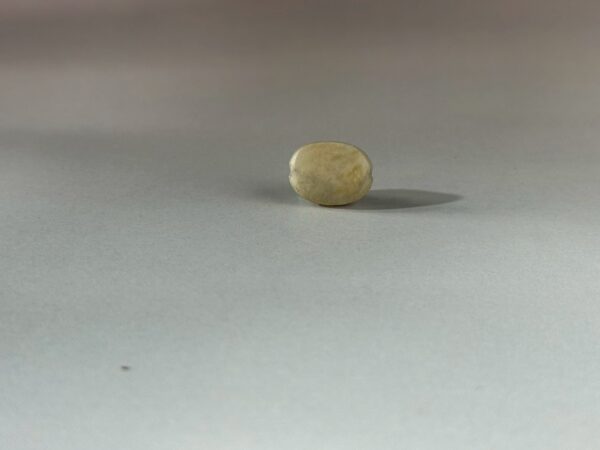 LINE_ALBUM_2026117_260117_161