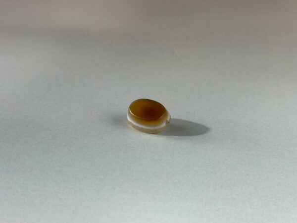 LINE_ALBUM_2026117_260117_162