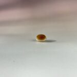 LINE_ALBUM_2026117_260117_163