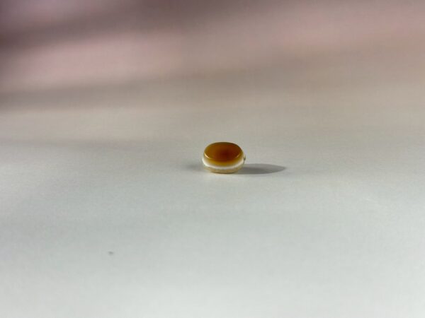 LINE_ALBUM_2026117_260117_163