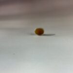 LINE_ALBUM_2026117_260117_164