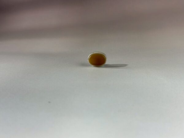 LINE_ALBUM_2026117_260117_164