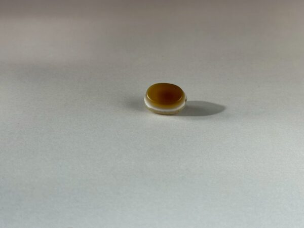 LINE_ALBUM_2026117_260117_165