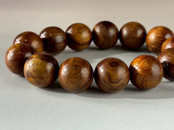 LINE_ALBUM_2026117_260117_168