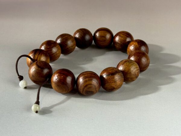 LINE_ALBUM_2026117_260117_169