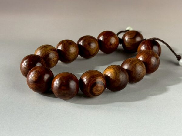 LINE_ALBUM_2026117_260117_170