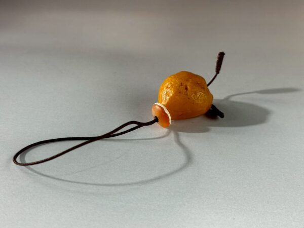 LINE_ALBUM_2026117_260117_172