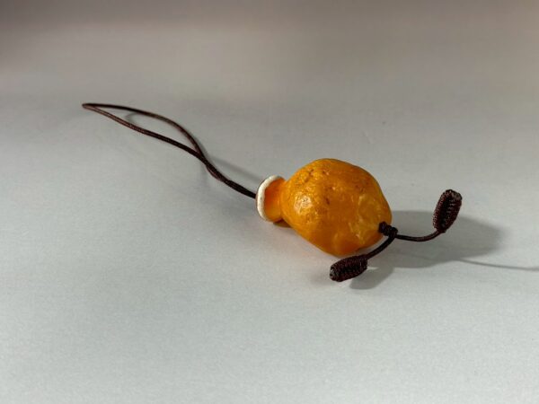 LINE_ALBUM_2026117_260117_173