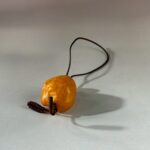 LINE_ALBUM_2026117_260117_174