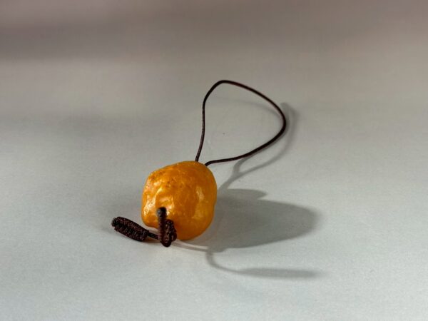 LINE_ALBUM_2026117_260117_174