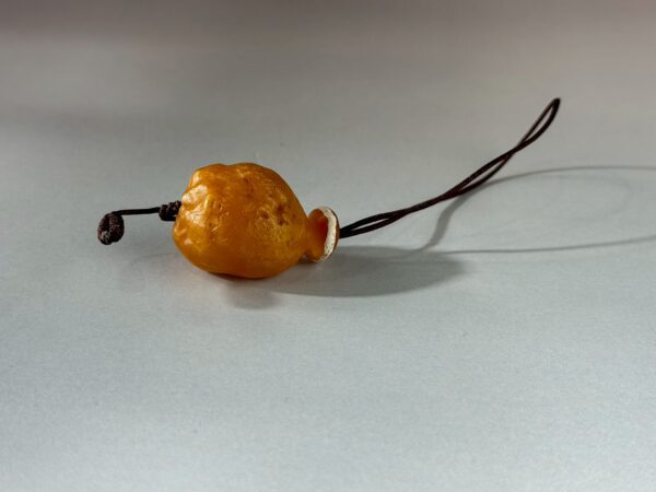 LINE_ALBUM_2026117_260117_175