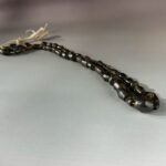 LINE_ALBUM_2026117_260117_179