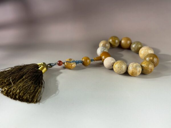 LINE_ALBUM_2026117_260117_185