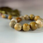 LINE_ALBUM_2026117_260117_186