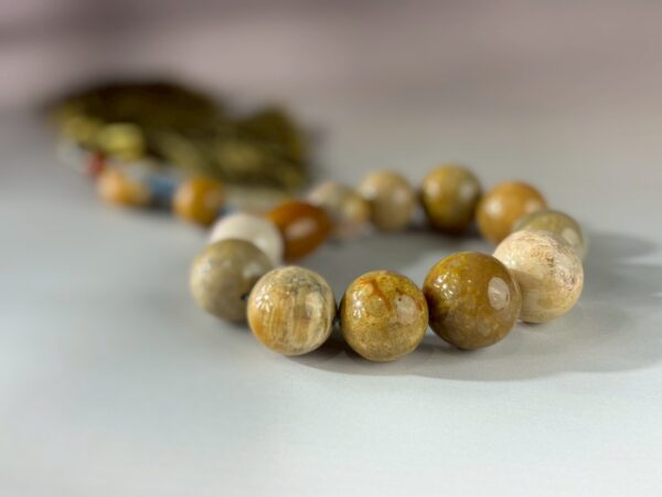 LINE_ALBUM_2026117_260117_186