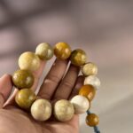 LINE_ALBUM_2026117_260117_187