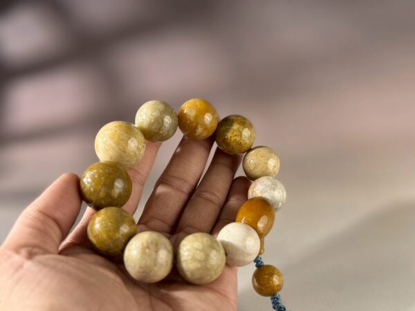 LINE_ALBUM_2026117_260117_187