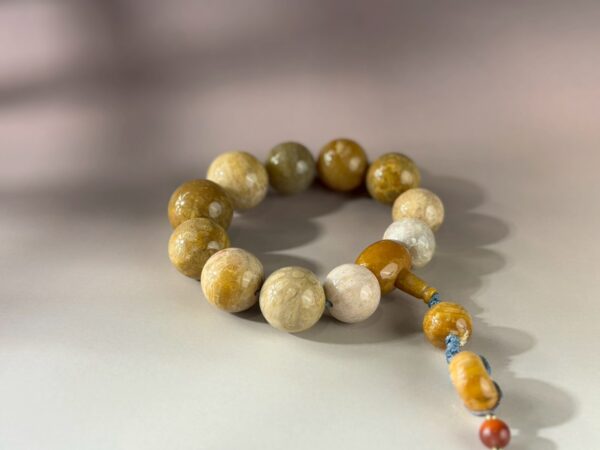 LINE_ALBUM_2026117_260117_189