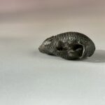 LINE_ALBUM_2026117_260117_228